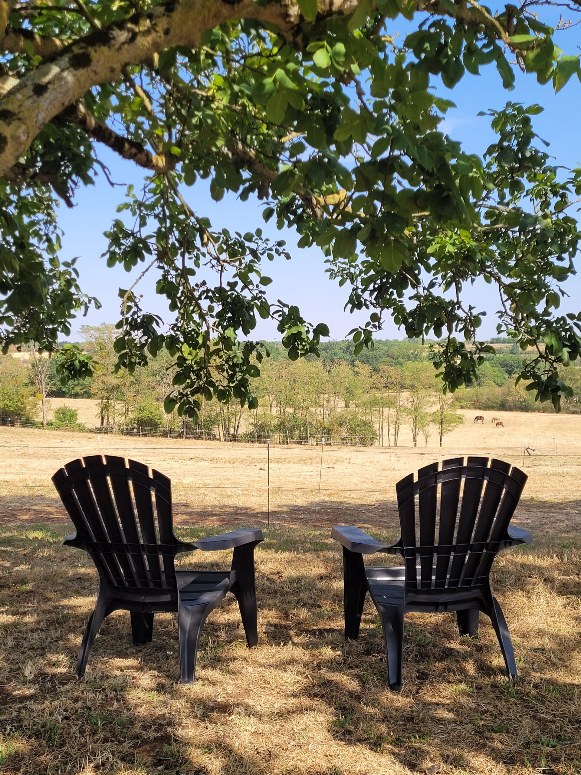 Home Le Domaine